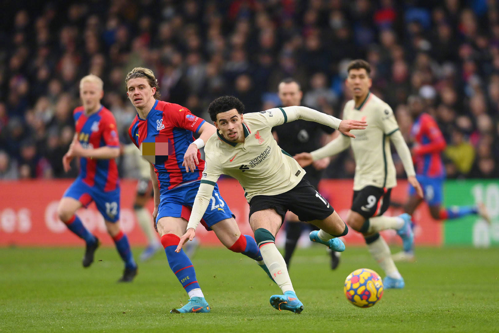 也为球队本 也为球队本