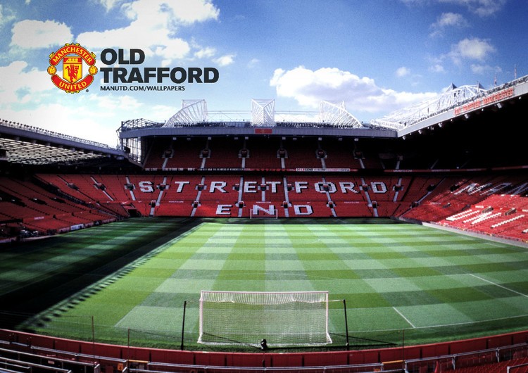 新宠花卉 新宠花卉